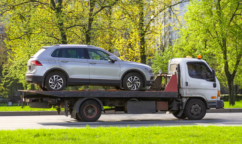 成都收藏品批发公司，初级农产品收购的商机在哪里？